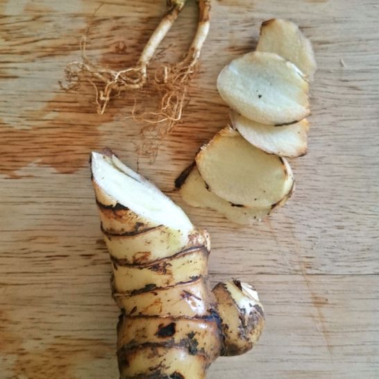 Galangal and cilantro roots.